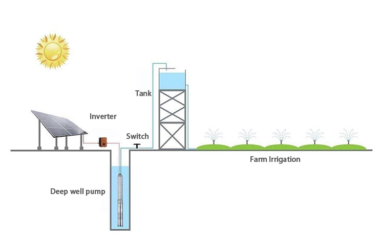 pompe à eau solaire en irrigation