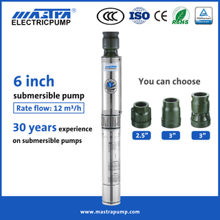 Mastra 6 pouces pompe à eau submersible à énergie solaire R150-BS pompes d'irrigation agricole à vendre