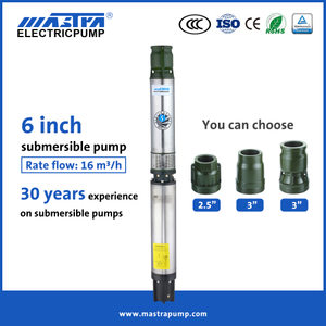Pompe de puits submersible en acier inoxydable Mastra 6 pouces AC Concessionnaires de pompes submersibles R150-CS