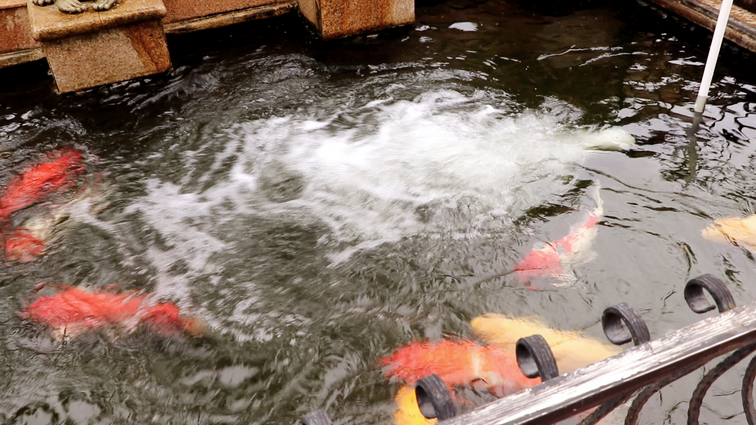 Pompe à eau submersible pour étang