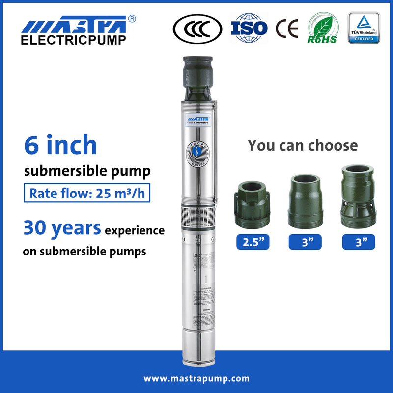 MASTRA 6 pouces Franklin Electric Deep Well Loom Pump Motor R150-FS Submersible Well Pump Supplies