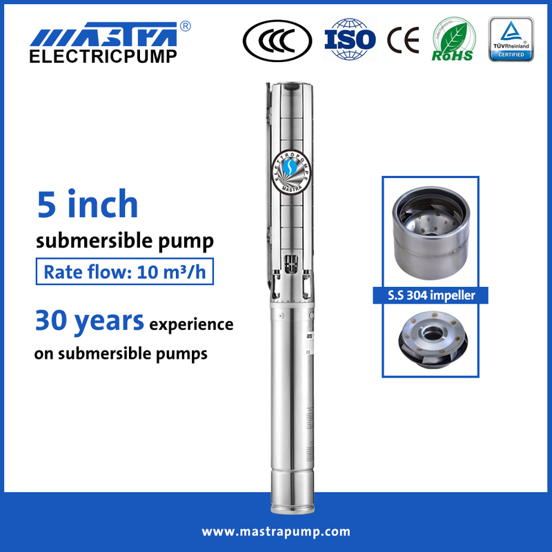 MASTRA 5 pouces All en acier inoxydable Lowara Pump submersible 5SP10 SEMMERSIBLE Well Pump Reviews