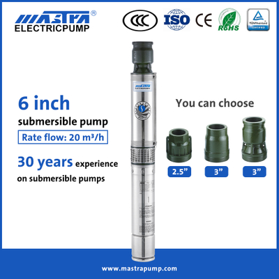 Pompe d'irrigation submersible Mastra 6 pouces en acier inoxydable R150-DS pompes d'irrigation agricole à vendre